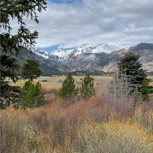 Meet your Posher, Laya